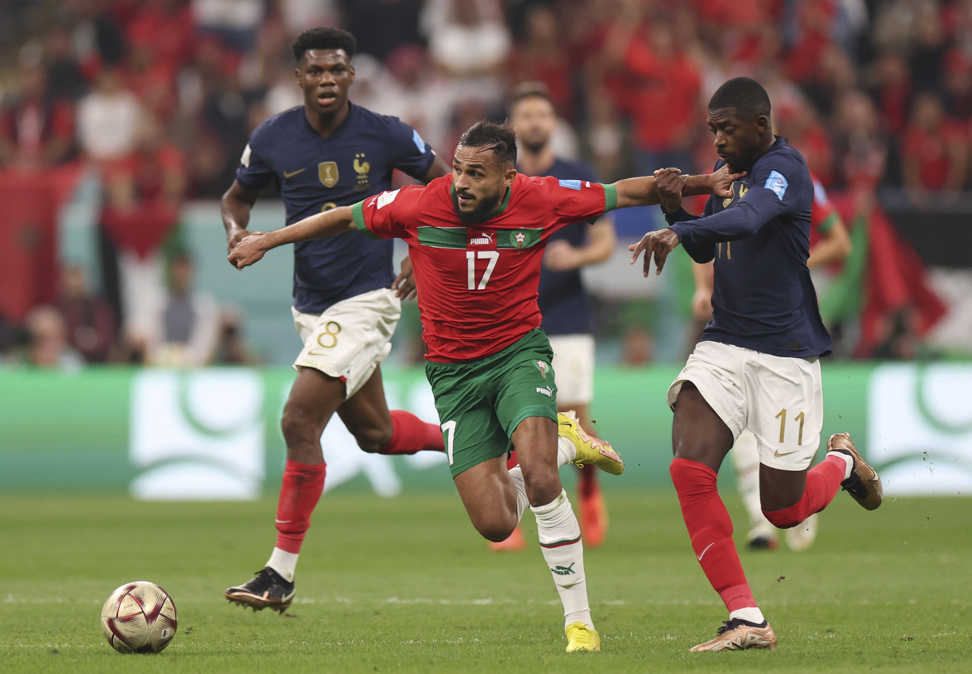 心理素质 心理素质