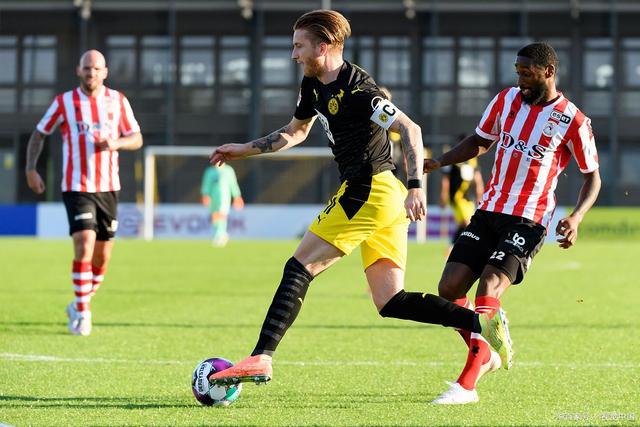 的多样性与 的多样性与