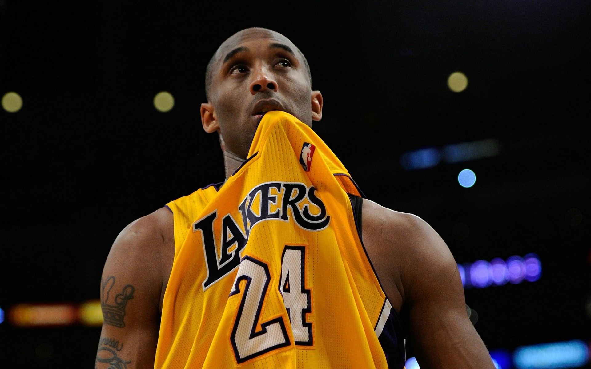 的全链条原 的全链条原